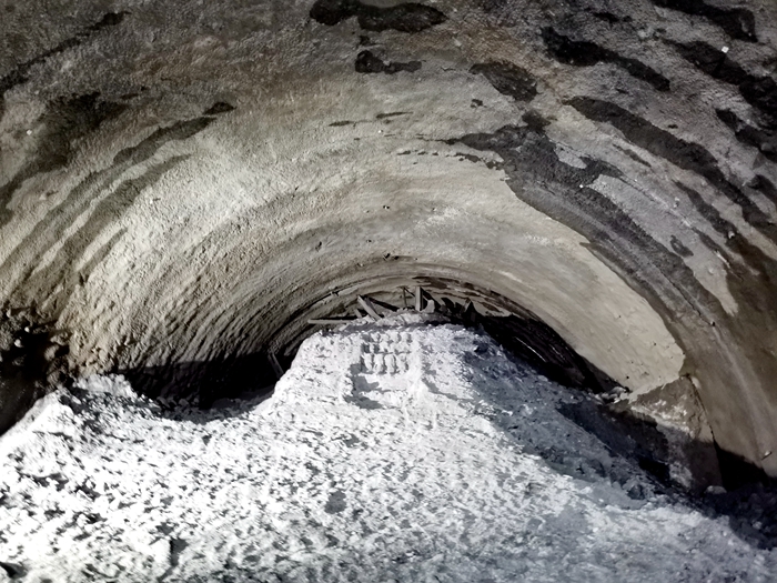 尊龙凯时·(中国区)人生就是搏!